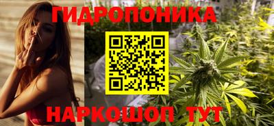 скорость Обь