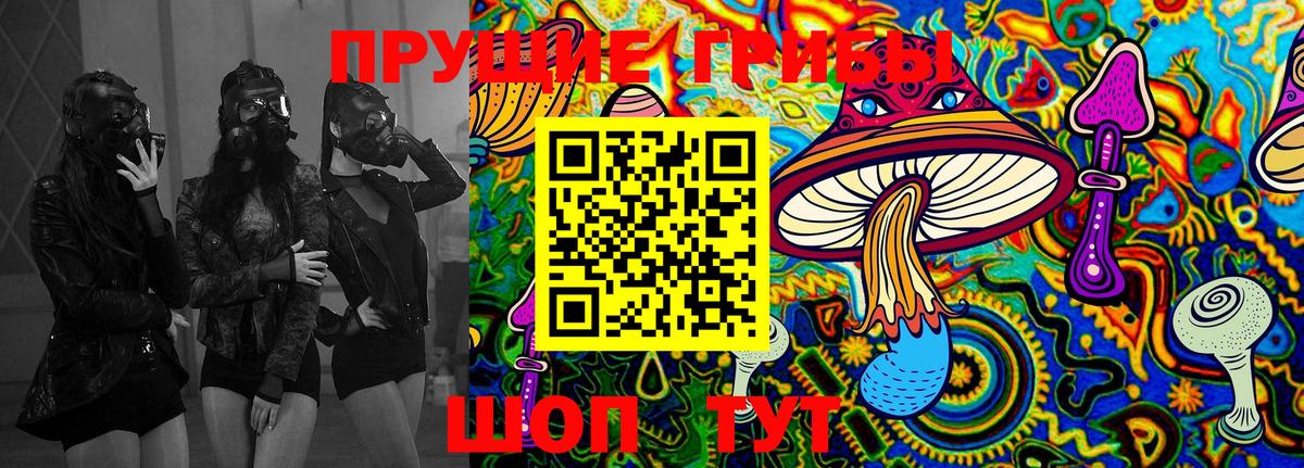 Псилоцибиновые грибы ЛСД  Галлюциногенные грибы MAGIC MUSHROOMS  Александров  купить наркотик  Вход с VPN 